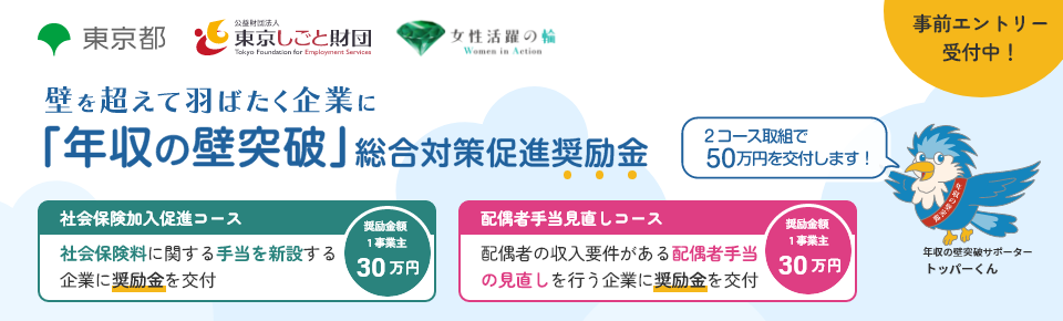 「年収の壁突破」総合対策促進奨励金