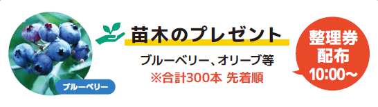 苗木の無料配布案内