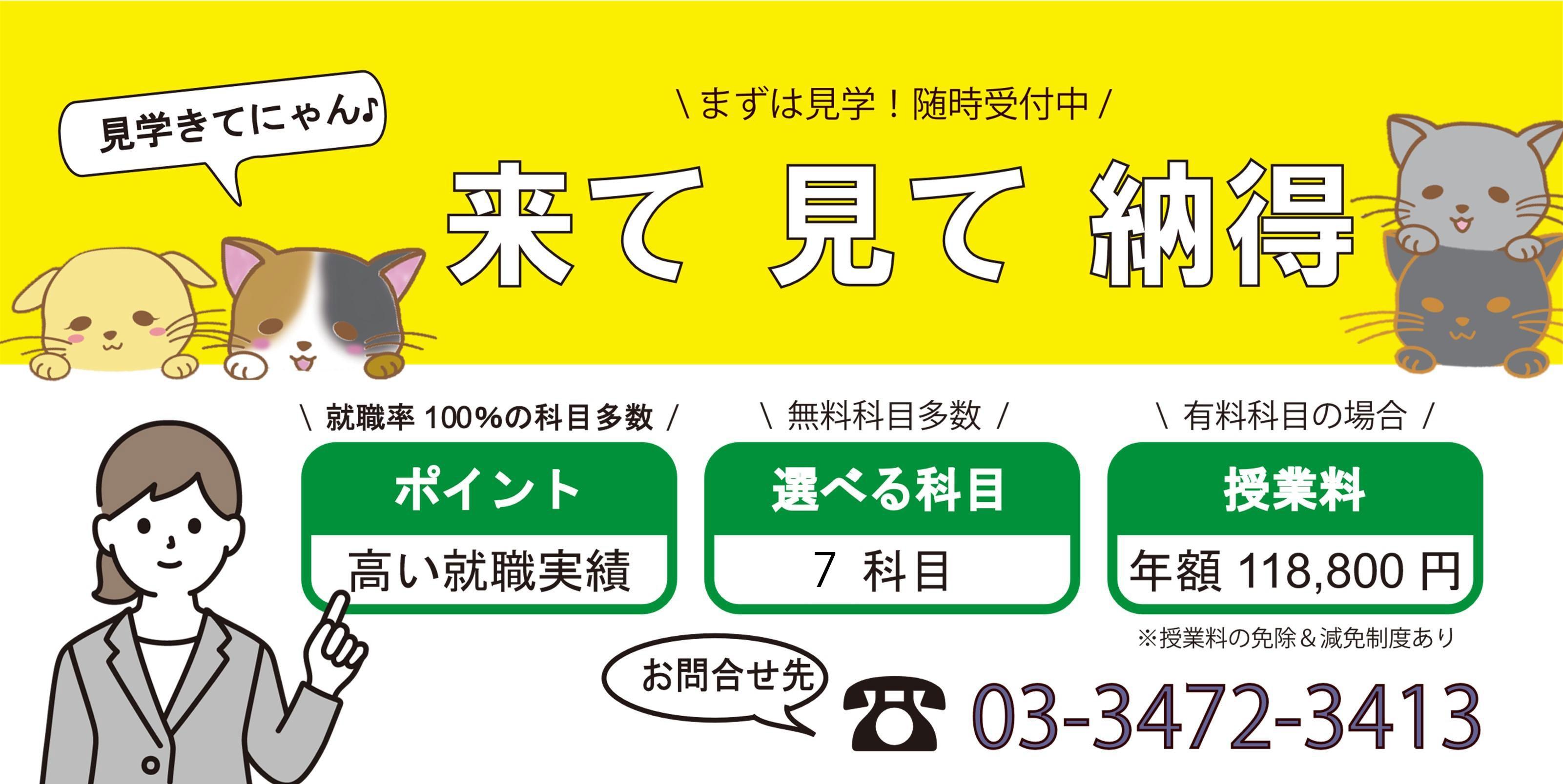 来て見て納得